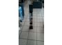 Troc - Image Produit