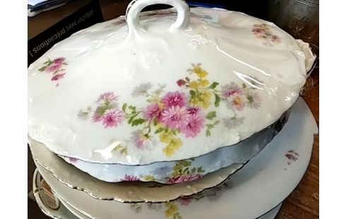 SOUPIERE Avec 2 plats porcelaine fleurs roses