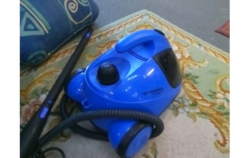 NETTOYEUR VAPEUR VAPOREX AVEC ACCESSOIRES