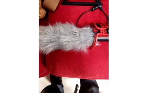 CAMESCOPE SONY 24MGP ACCRSV