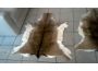 Troc - Image Produit