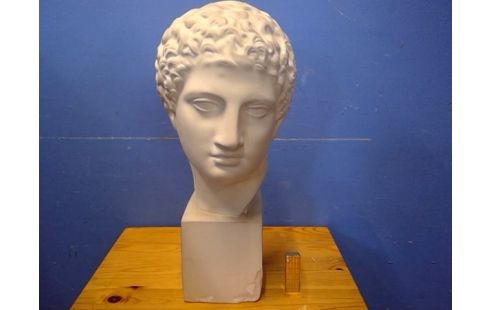 HOOFD IN GIPS BESCH.