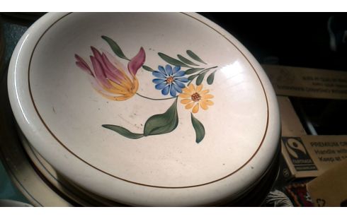 SERVICIO VILLEROY ET BOCH CRUDO FLOR