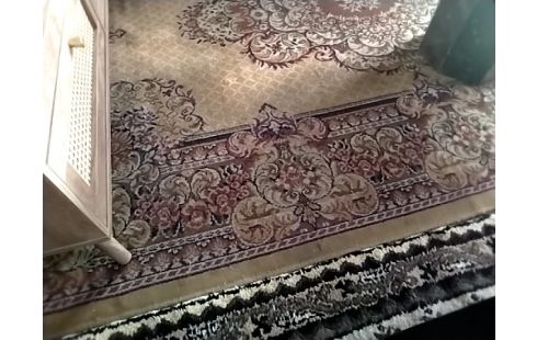 TAPIS Rouge brique beige 275x200