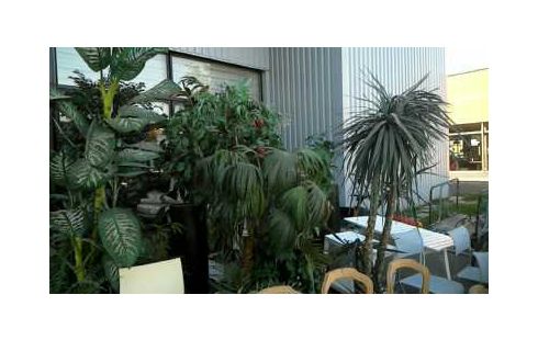 PLANTE ARTIFICIELLE