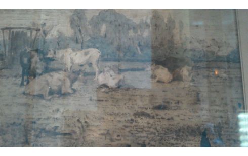 DESSIN À L'ENCRE LAVIS 19EME VACHES CHABRY
