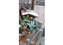 Troc - Image Produit