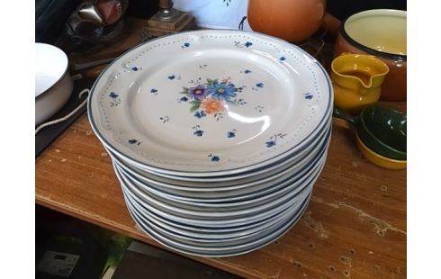 LOT D'ASSIETTES BOUQUET PROVINCIAL