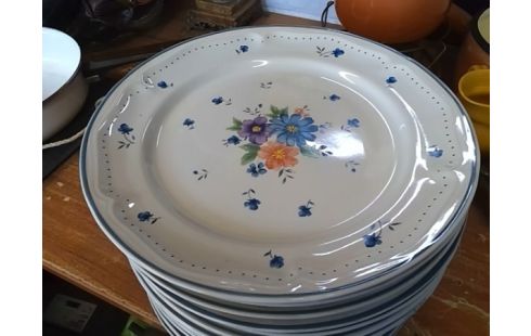 LOT D'ASSIETTES BOUQUET PROVINCIAL