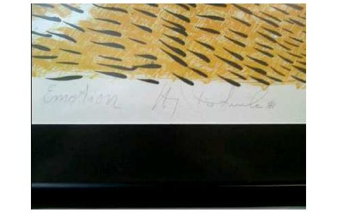 LITHOGRAPHIE EMOTIONEN