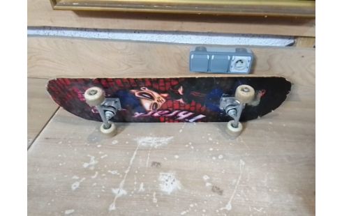 SKATE BOARD