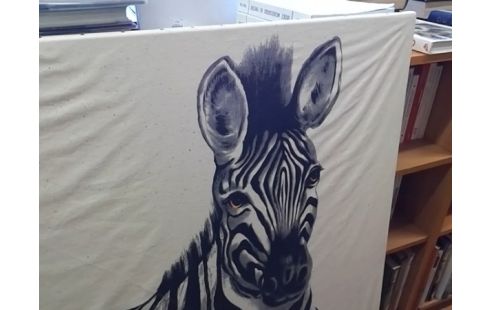 CADRE ZEBRE 89X116
