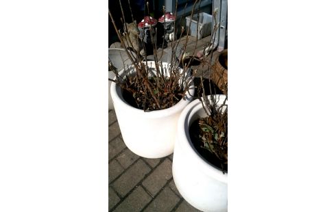 POT DE FLEURS BLANCHE PVC MET, , PLANTE L UNITE