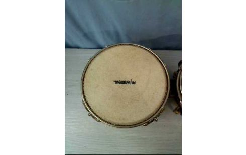 BONGO LATIN PERCUSSION