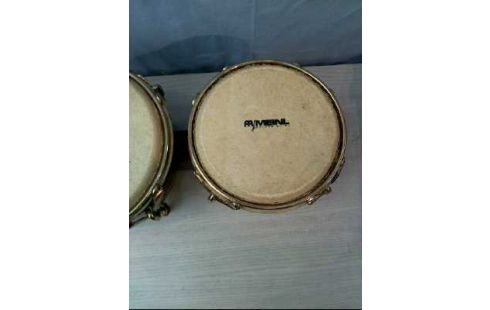 BONGO LATIN PERCUSSION