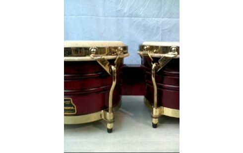 BONGO LATIN PERCUSSION
