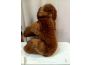 Troc - Image Produit
