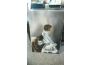 Troc - Image Produit