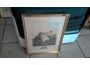 Troc - Image Produit