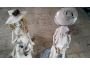 Troc - Image Produit