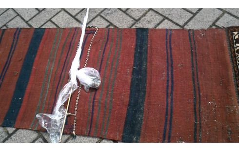 TAPIS MURAL NOUE MAIN
