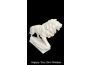 Troc - Image Produit