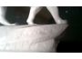 Troc - Image Produit
