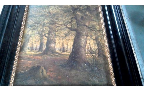 PINTURA, , PLACA, , MARCO NEGRO