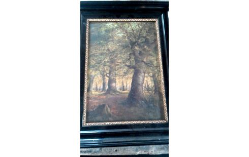 PINTURA, , PLACA, , MARCO NEGRO