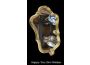 Troc - Image Produit