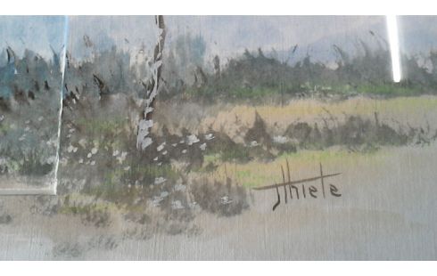AQUAREL BERKEN VOGELS