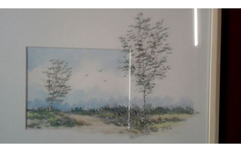 AQUAREL BERKEN VOGELS