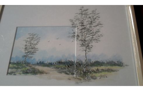 AQUAREL BERKEN VOGELS
