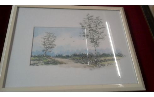 AQUAREL BERKEN VOGELS