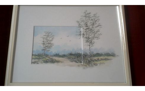 AQUAREL BERKEN VOGELS