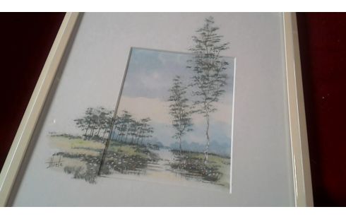 AQUAREL BERKEN
