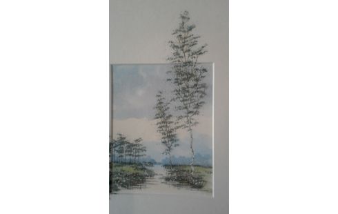 AQUAREL BERKEN