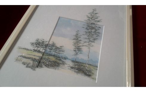 AQUAREL BERKEN
