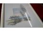 Troc - Image Produit