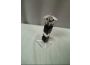 Troc - Image Produit