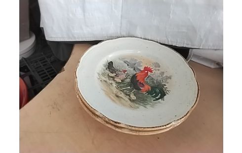 ASSIETTE DECO