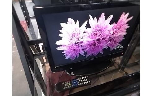 TELEVISEUR TECHWOLD 50CM TNT TDE