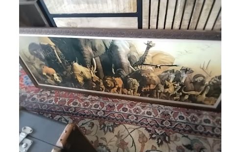 CADRE SOUS VERRE ANIMAUX