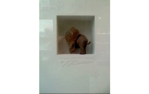 BILDOBJEKT <V.KÜHN> 3-DIM. ELEFANT MUSCHEL