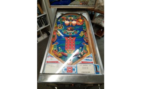 FLIPPER WILLIAMS SPACE MISSION A REVISER