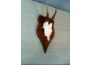 Troc - Image Produit