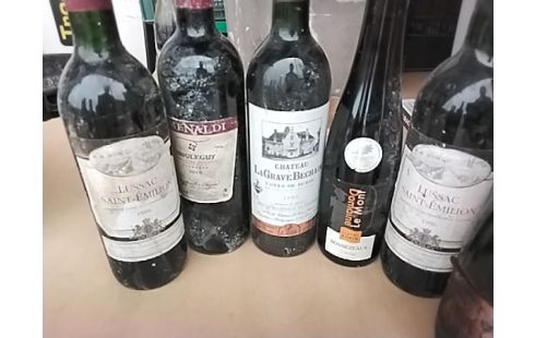 BOUTEILLE VIN DIVERS GARDE