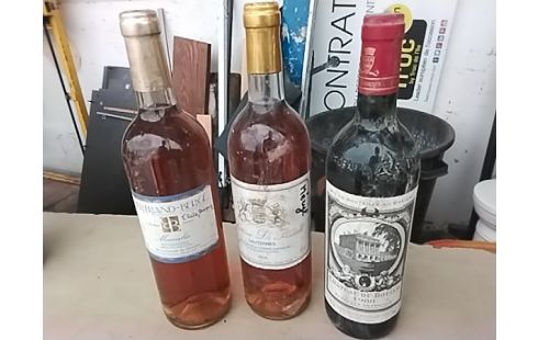 BOUTEILLE VIN DIVERS GARDE