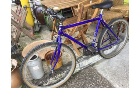 VTT BLEU