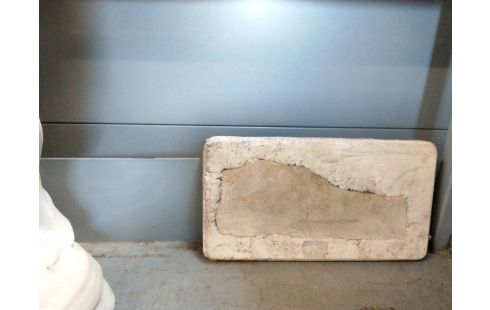 DECORATION FOSSILE PLAQUE